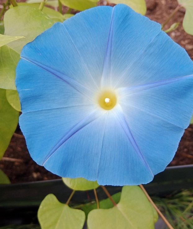 Votre moment clé, pas à pas vers un changement