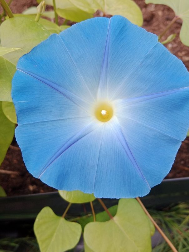 Votre moment clé, pas à pas vers un changement